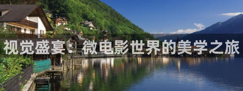 黑蚂蚁影视剧电视剧