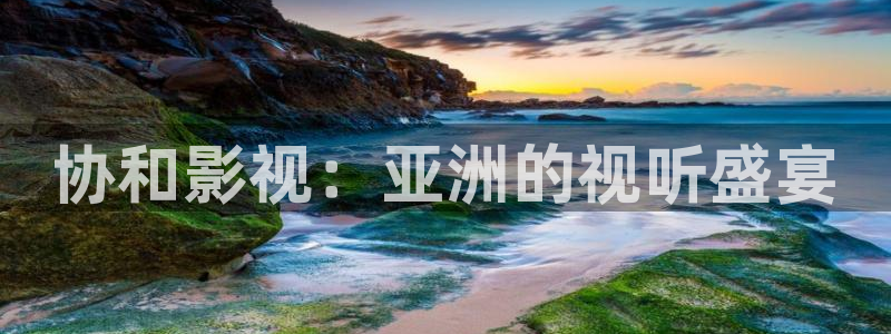 电视剧 黑蚂蚁：协和影视：亚洲的视听盛宴