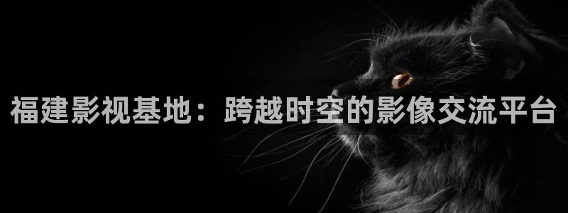 黑蚂蚁影院电视剧：福建影视基地：跨越时空的影像交流平台
