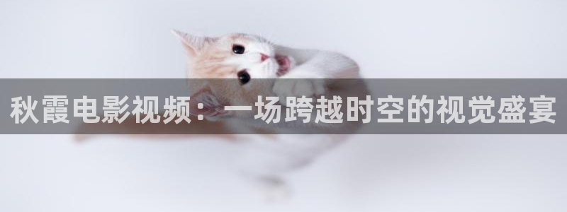 黑蚂蚁在线观看