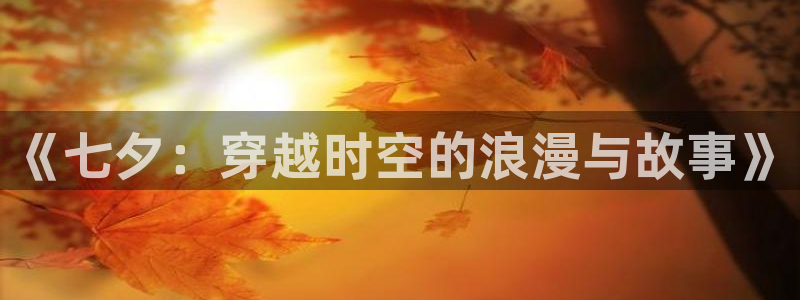 黑蚂蚁分集剧情介绍：《七夕：穿越时空的浪漫与故事》