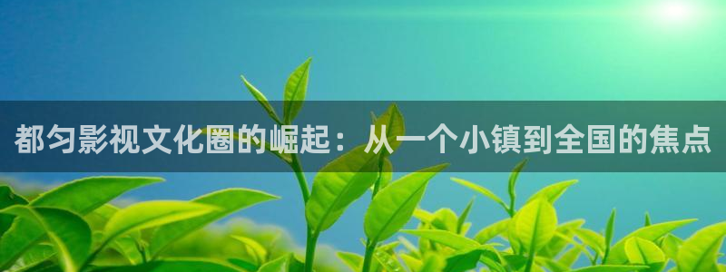 黑蚂蚁图片