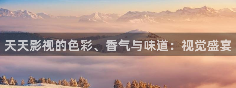 黑蚂蚁电视剧官网