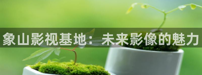 下载黑蚂蚁影院