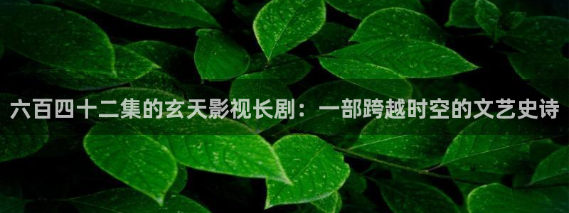 黑蚂蚁电视剧官网