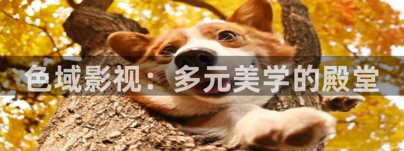 黑蚂蚁影院电视剧全集：色域影视：多元美学的殿堂