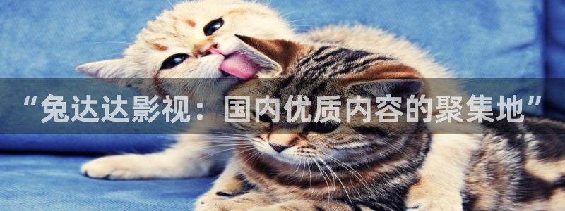 黑蚂蚁影院电影大全：“兔达达影视：国内优质内容的聚集地”