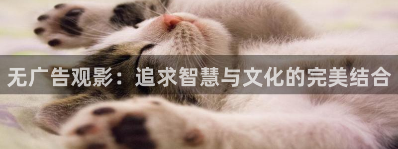 黑蚂蚁影院电视剧免费看：无广告观影：追求智慧与文化的完美结合